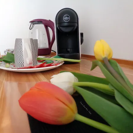Bed & Breakfast Tramura
